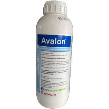 Avalon 1l