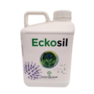 copy of Eckosil 1l