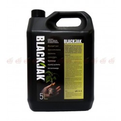 BlackJak 5l